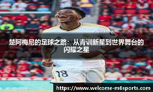 米乐m6官方网站